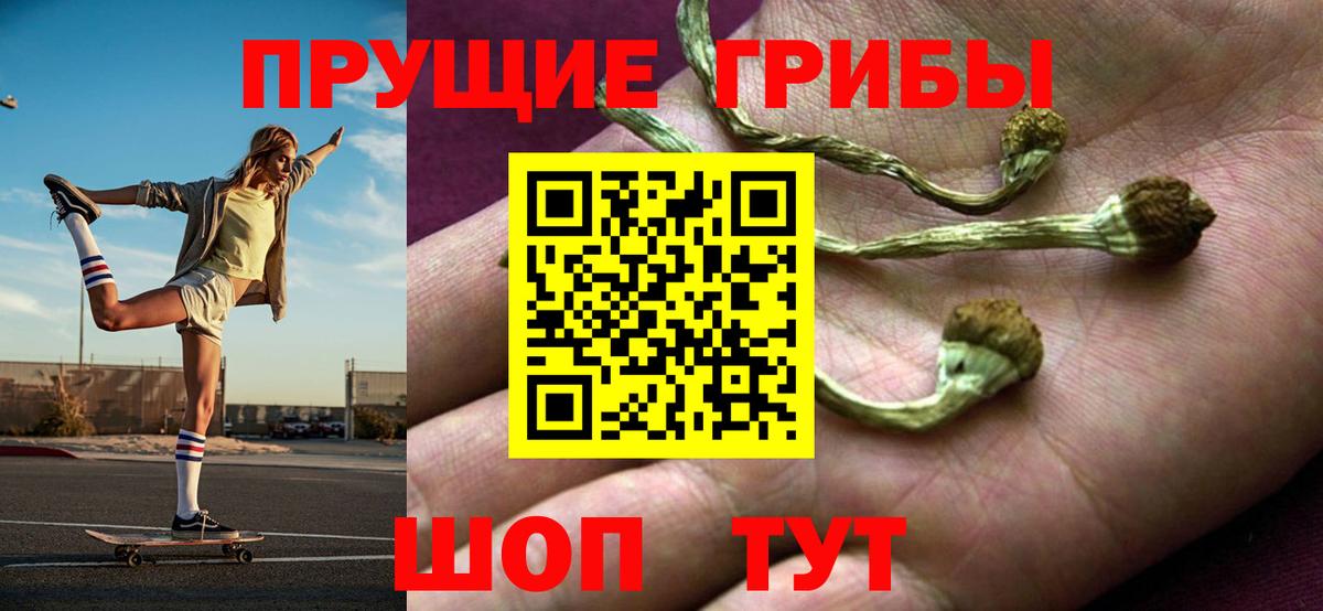 Галлюциногенные грибы Psilocybine cubensis Сызрань