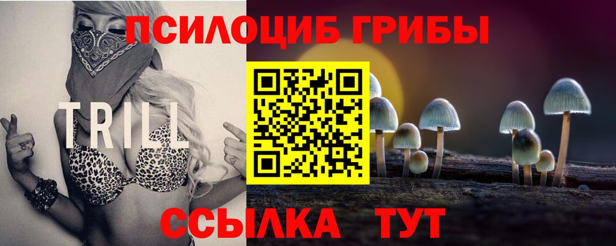 Галлюциногенные грибы MAGIC MUSHROOMS  Галлюциногенные грибы Psilocybine cubensis  Сызрань  Вход с VPN 