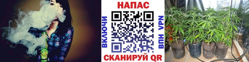 Конопля AK-47  Сызрань 